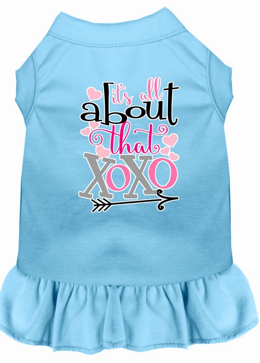 All about the XOXO Screen Print Dog Dress Baby Blue Lg